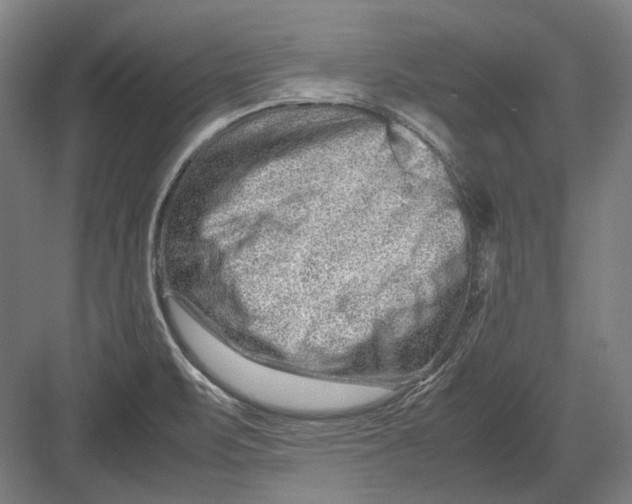 X0000082201471200702092348