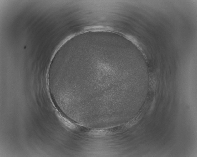 X0000082201474200702092348