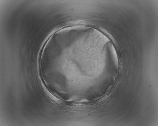 X0000082201475200702092348