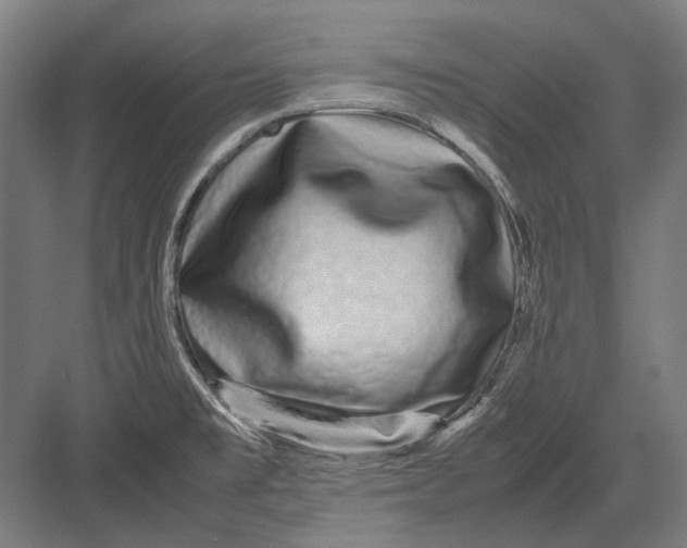 X0000082201477200702092348