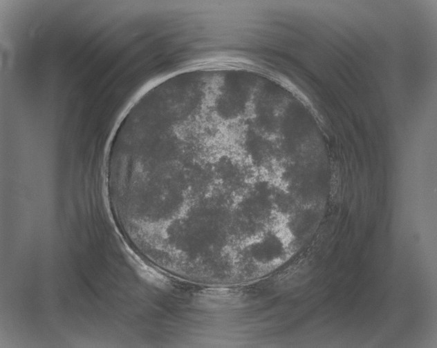 X0000082201478200702092348