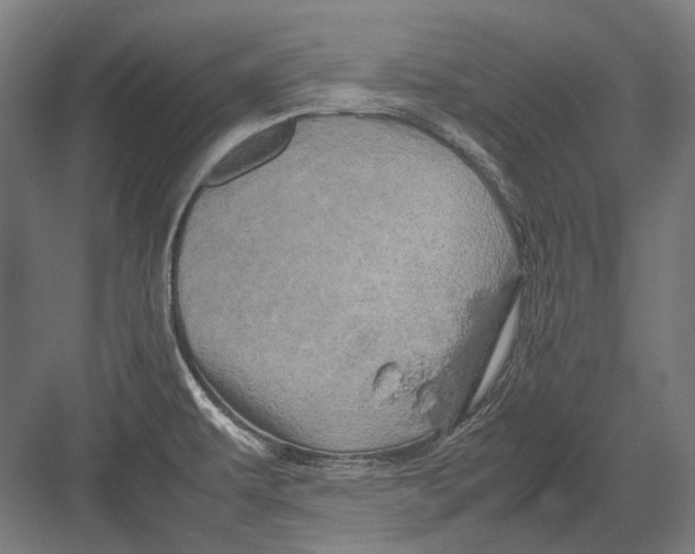 X0000082201479200702092348