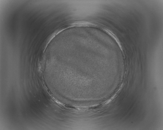 X0000082201481200702092348