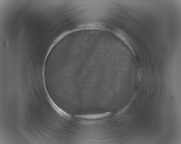 X0000082201482200702092348