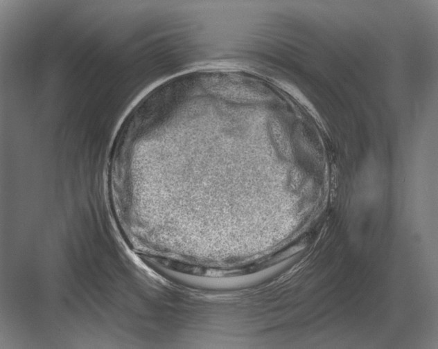 X0000082201484200702092348