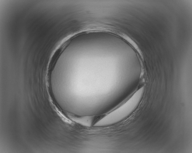 X0000082201485200702092348