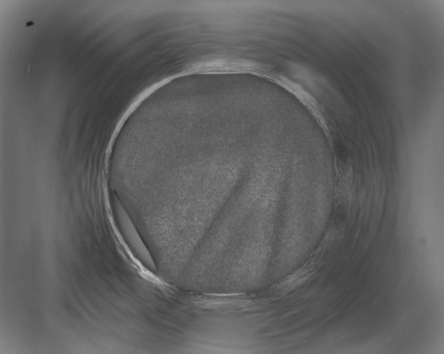 X0000082201486200702092348