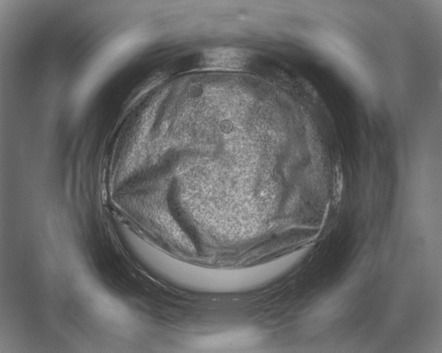 X0000082201487200702092348