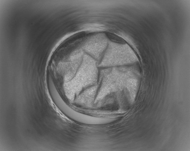 X0000082201488200702092348