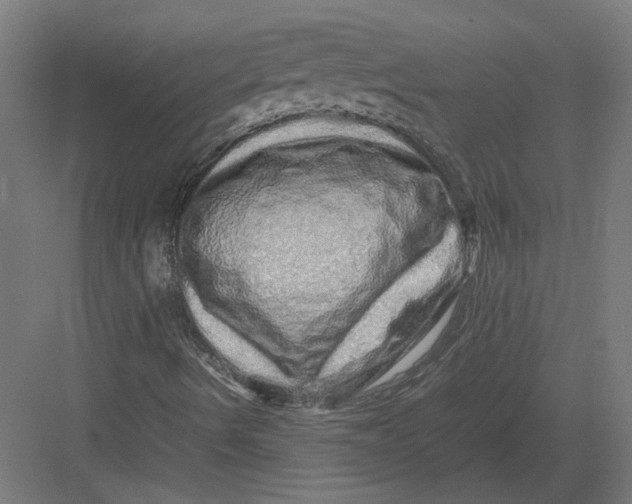 X0000082201490200702092347