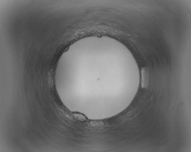 X0000082201491200702092347