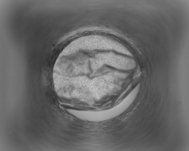 X0000082201494200702092347