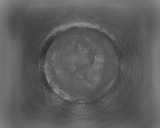 X0000082201495200702092347