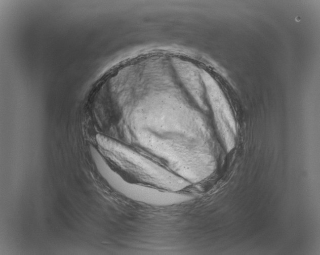 X0000082201496200702092347