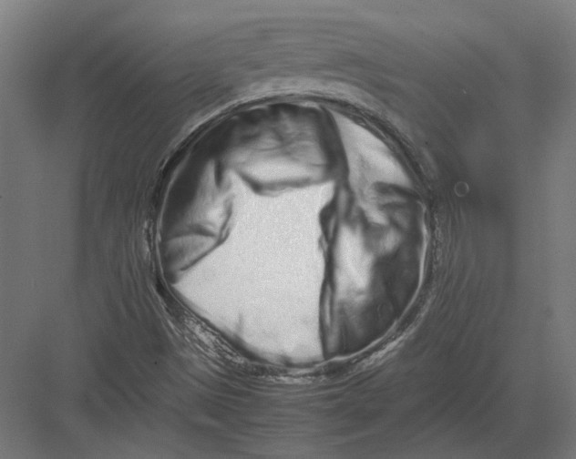 X0000082201497200702092347