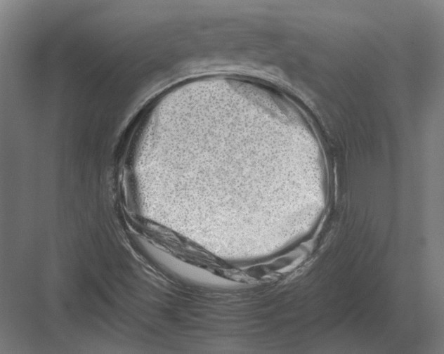 X0000082201501200702092347