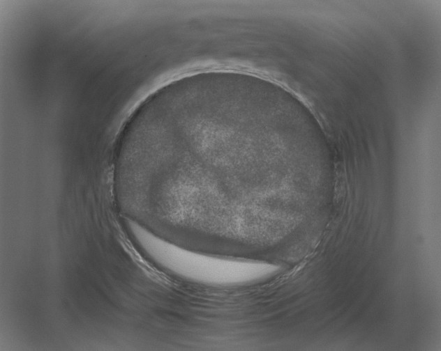 X0000082201503200702092347