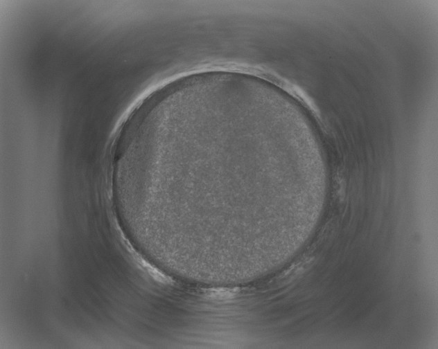 X0000082201504200702092347