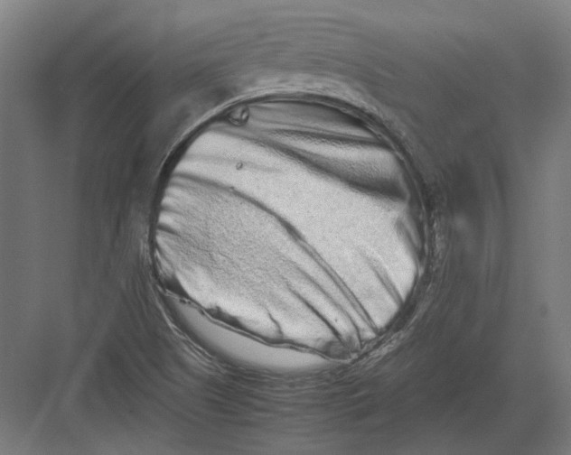 X0000082201505200702092347