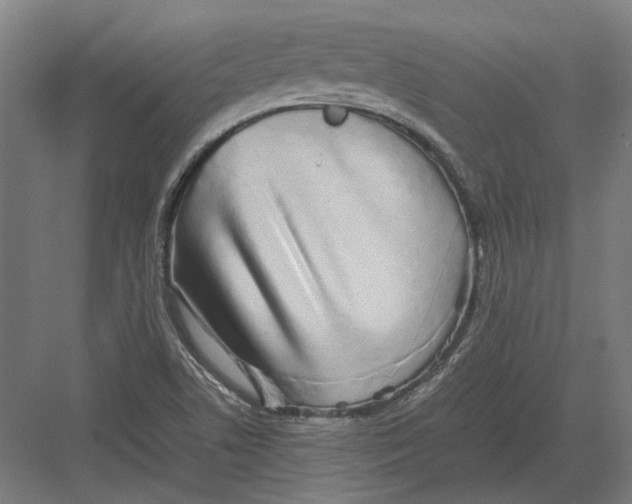 X0000082201506200702092347