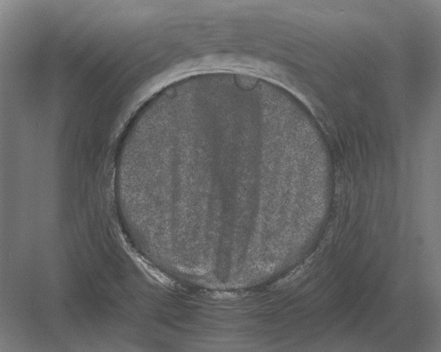 X0000082201507200702092347