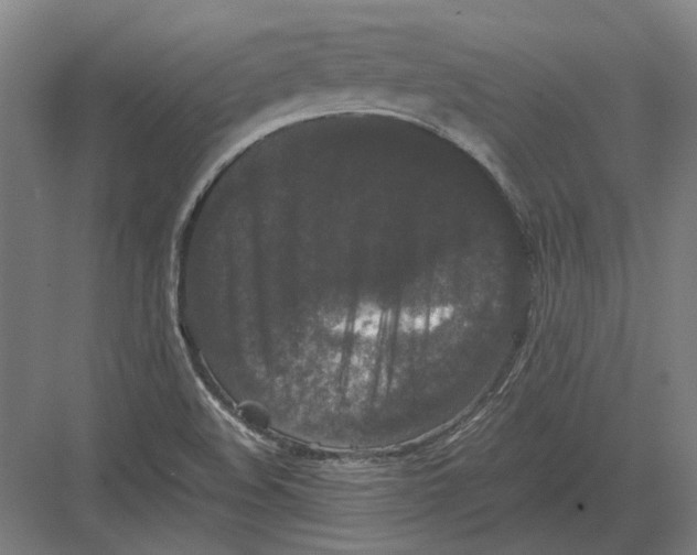 X0000082201508200702092347