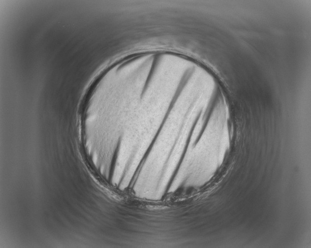 X0000082201509200702092348