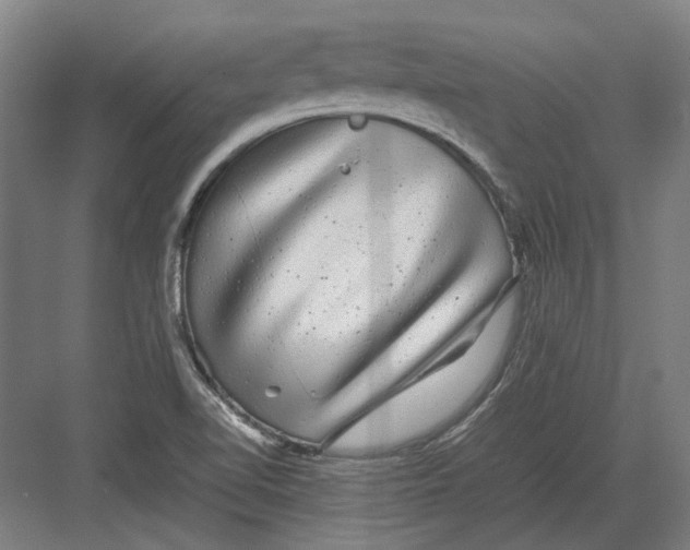 X0000082201510200702092348