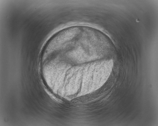 X0000082201511200702092348