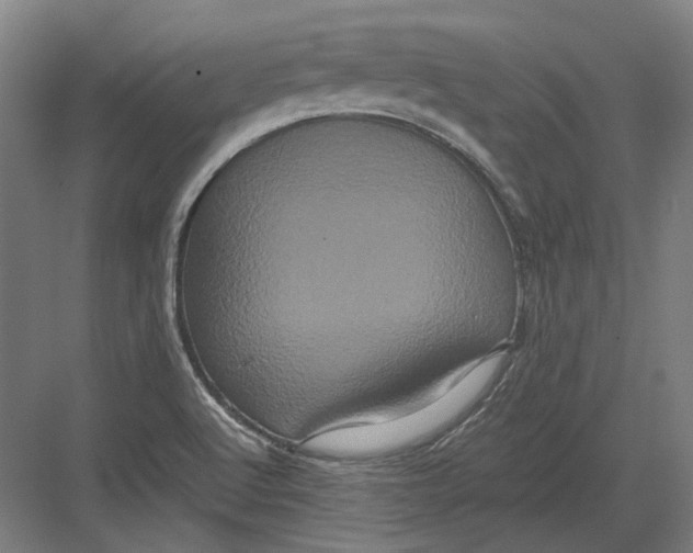 X0000082201512200702092348