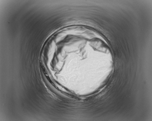 X0000082201513200702092348