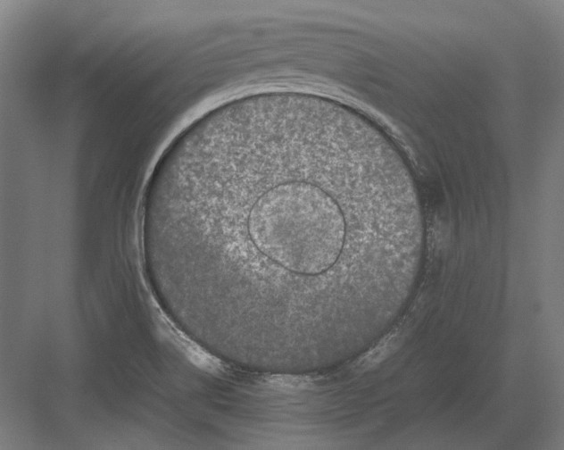 X0000082201514200702092348