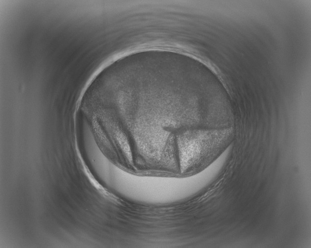 X0000082201515200702092348