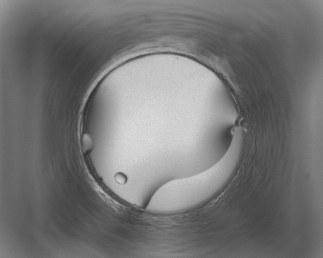 X0000082201516200702092348