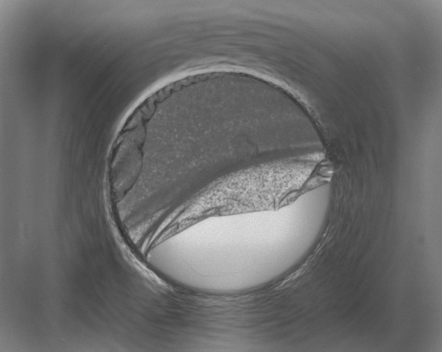 X0000082201518200702092348