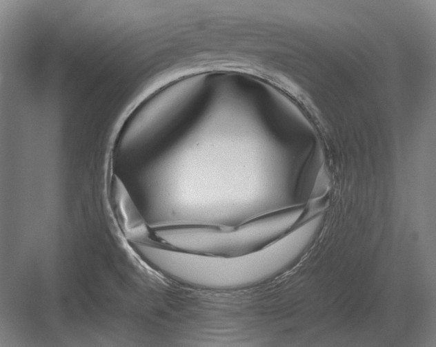 X0000082201520200702092348