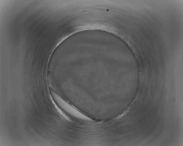 X0000082201521200702092348