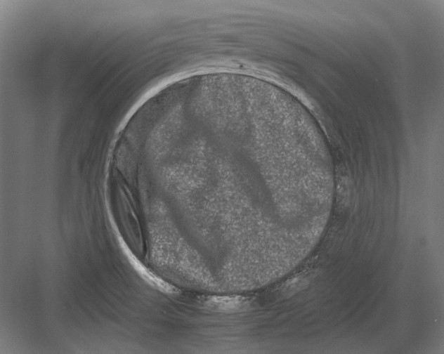 X0000082201523200702092348