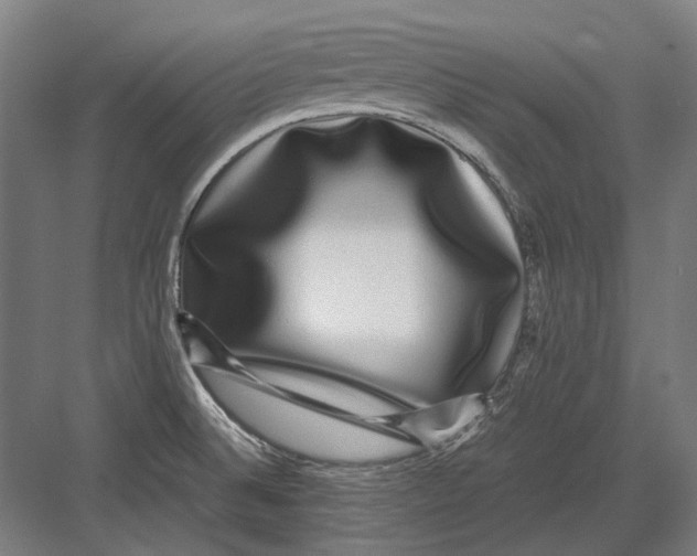 X0000082201524200702092348