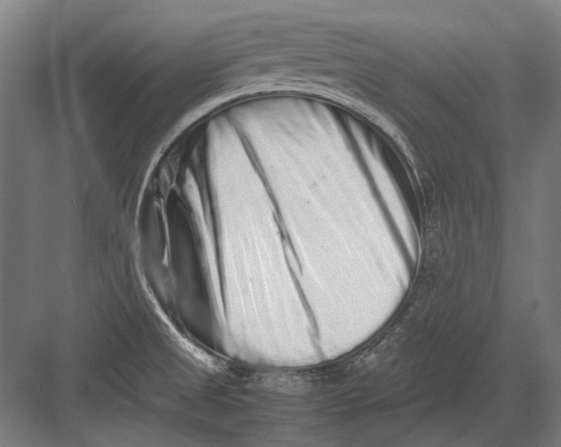 X0000082201525200702092348