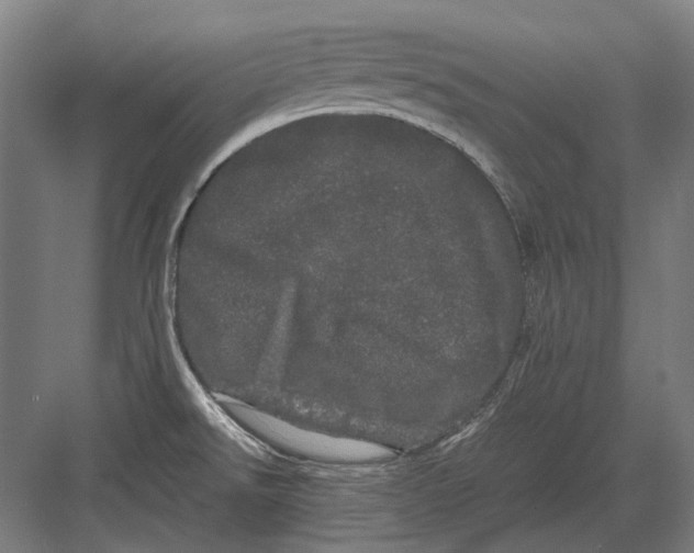 X0000082201526200702092348