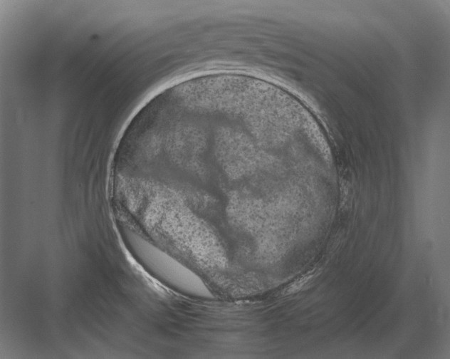 X0000082201527200702092348