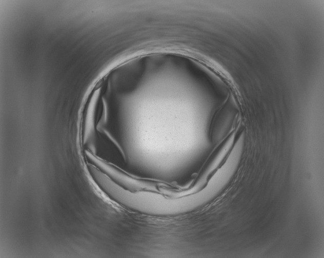 X0000082201528200702092348