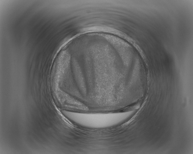 X0000082201529200702092348