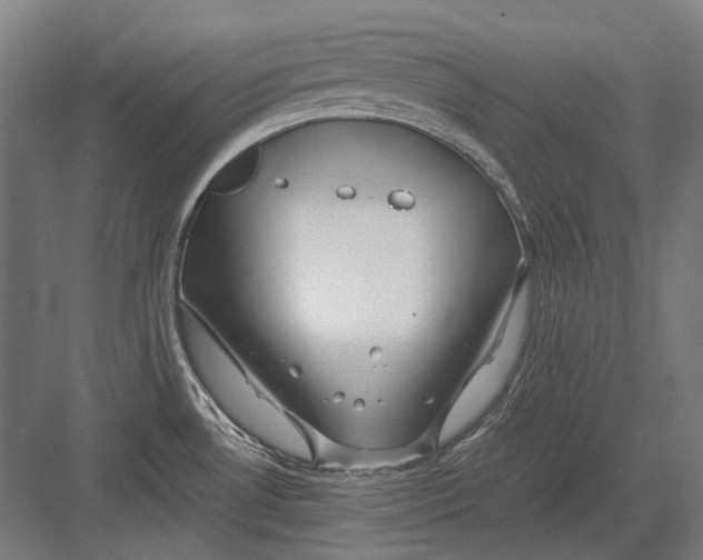 X0000082201530200702092348