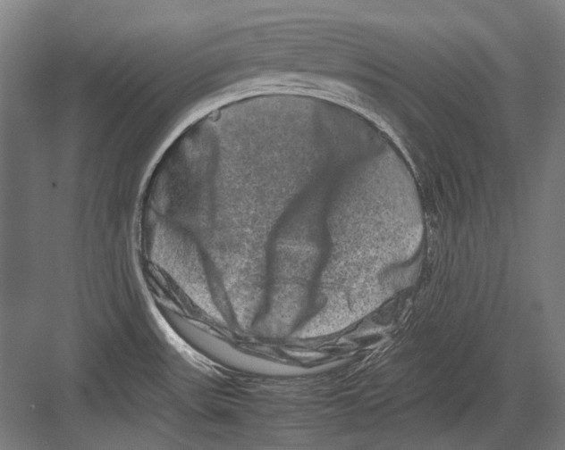 X0000082201531200702092348