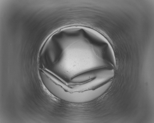 X0000082201532200702092348