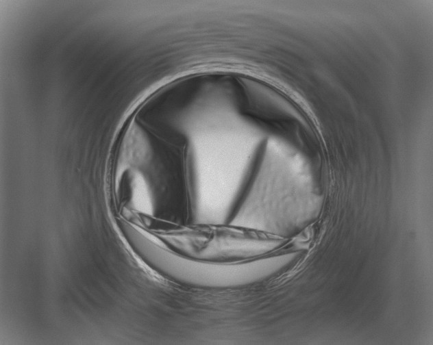 X0000082201533200702092348