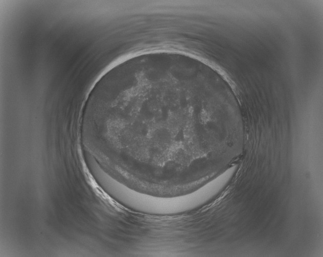 X0000082201534200702092348