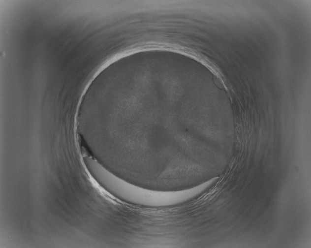 X0000082201535200702092348